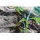 Bead Embroidery Kit on Art Canvas "Bamboo bear"