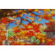 Bead Embroidery Kit on Art Canvas "Beauty of autumn"