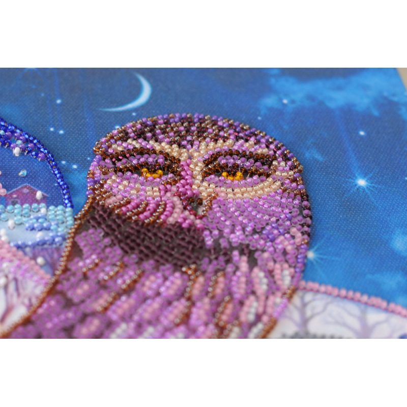 Bead Embroidery Kit on Art Canvas "On the wings of the night"