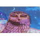 Bead Embroidery Kit on Art Canvas "On the wings of the night"