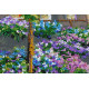 Bead Embroidery Kit on Art Canvas "Bridge"