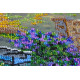 Bead Embroidery Kit on Art Canvas "Bridge"