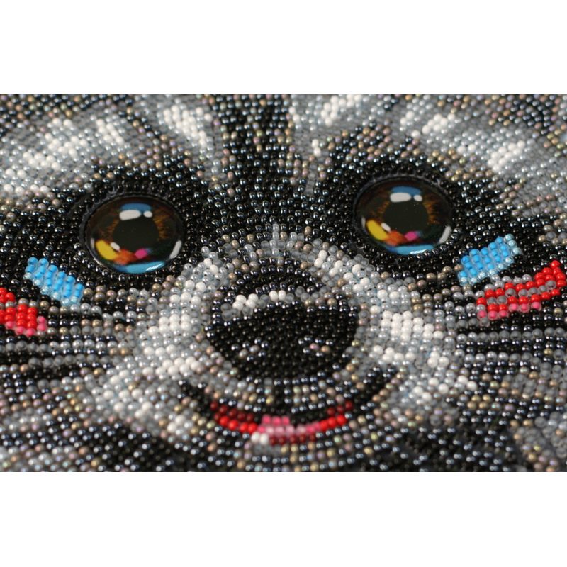 Bead Embroidery Kit on Art Canvas "Raccoon wanted"