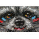 Bead Embroidery Kit on Art Canvas "Raccoon wanted"