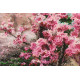 Bead Embroidery Kit on Art Canvas "Flir"