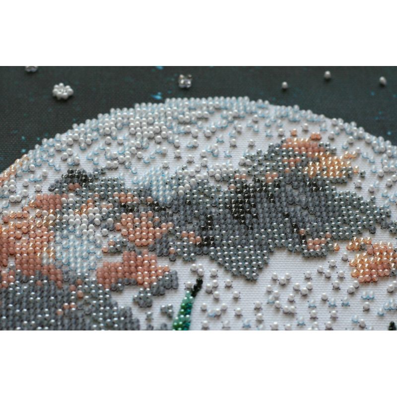 Bead Embroidery Kit on Art Canvas "Night in the desert"