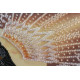Bead Embroidery Kit on Art Canvas "Black Diamond"
