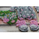 Bead Embroidery Kit on Art Canvas "Having a dessert"