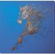 Bead Embroidery Kit on Art Canvas "The Golden"