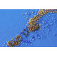Bead Embroidery Kit on Art Canvas "The Golden"