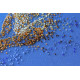 Bead Embroidery Kit on Art Canvas "The Golden"
