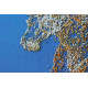 Bead Embroidery Kit on Art Canvas "The Golden"