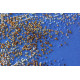 Bead Embroidery Kit on Art Canvas "The Golden"