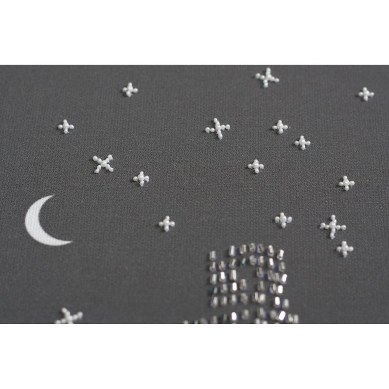 Bead Embroidery Kit on Art Canvas "The glitter of the night lights"