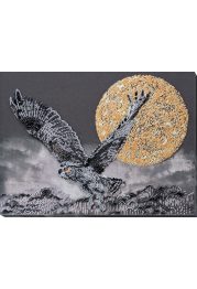 Bead Embroidery Kit on Art Canvas "Night flight"