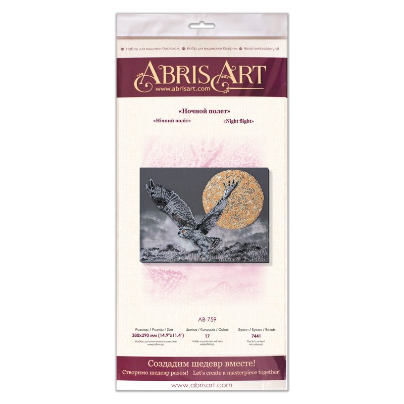 Bead Embroidery Kit on Art Canvas "Night flight"