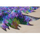Bead Embroidery Kit with Wooden Frame "Fields of Provence"