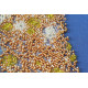 Bead Embroidery Kit on Art Canvas "Cadence-2"