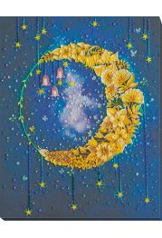 Bead Embroidery Kit on Art Canvas "The night shone"