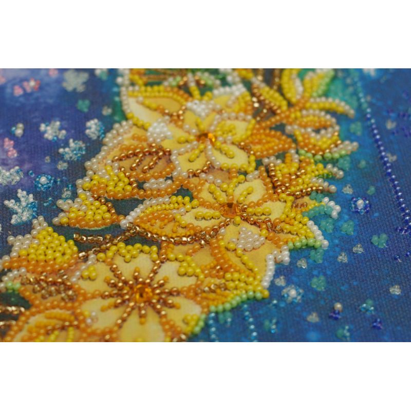 Bead Embroidery Kit on Art Canvas "The night shone"