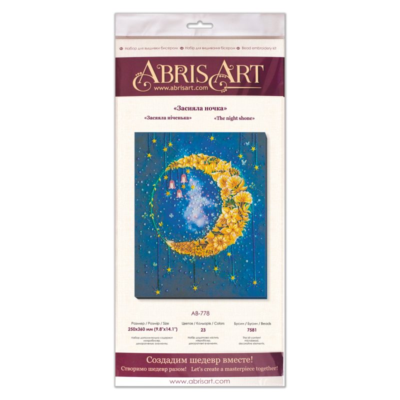 Bead Embroidery Kit on Art Canvas "The night shone"