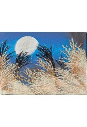 Bead Embroidery Kit on Art Canvas "Herbs whisper"