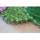 String Art Kit "Cactus"