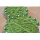 String Art Kit "Cactus"