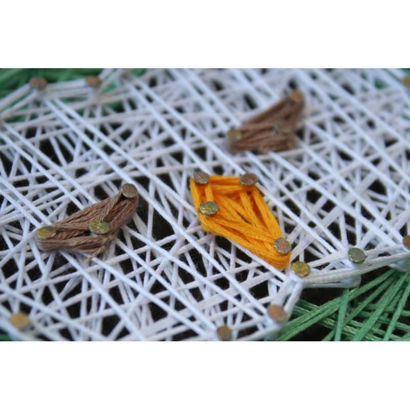 String Art Kit "Owl"
