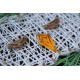 String Art Kit "Owl"