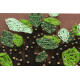 String Art Kit "Tree"