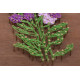 String Art Kit "Lavender"