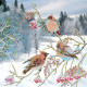 Bead Embroidery Pattern on Art Canvas "Waxbirds"