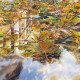Bead Embroidery Pattern on Art Canvas "Puddle's reflections"