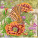 Bead Embroidery Pattern on Art Canvas "Batterfly and poppies"