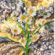 Bead Embroidery Pattern on Art Canvas "Flecks of sunlight"
