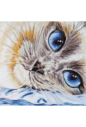 Cross Stitch Kit "Sapphire eyes"