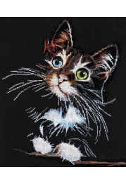 Cross Stitch Kit "Fluffy kitten"