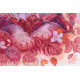 Cross Stitch Kit "Soft Paws"