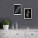 Cross Stitch Kit "Feather-2"