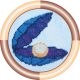Mini Bead Embroidery Kit on Art Canvas "Shell"