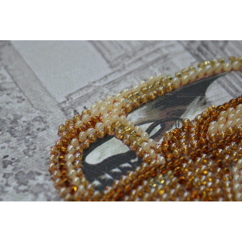 Mini Bead Embroidery Kit on Art Canvas "Aero-662"