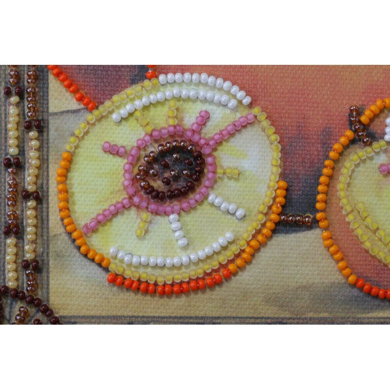 Mini Bead Embroidery Kit on Art Canvas "Sunny peaches"