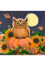 Mini Bead Embroidery Kit on Art Canvas "Night guest"
