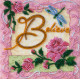 Mini Bead Embroidery Kit on Art Canvas "Believe"