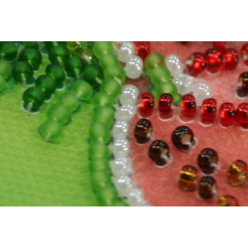 Bead Embroidery Magnet Kit "Watermelon"