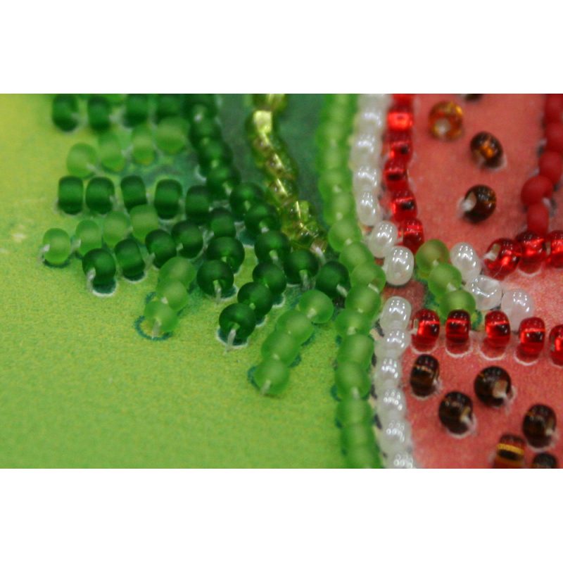 Bead Embroidery Magnet Kit "Watermelon"