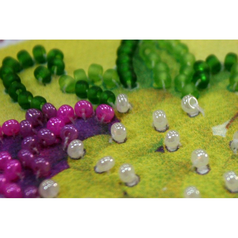 Bead Embroidery Magnet Kit "Grapes"