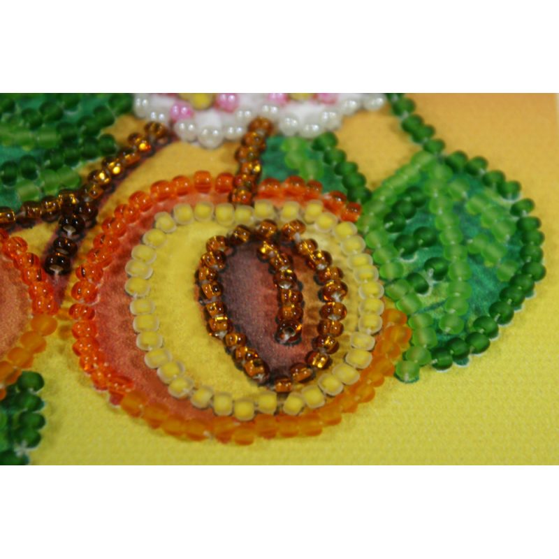 Bead Embroidery Magnet Kit "Apricots"