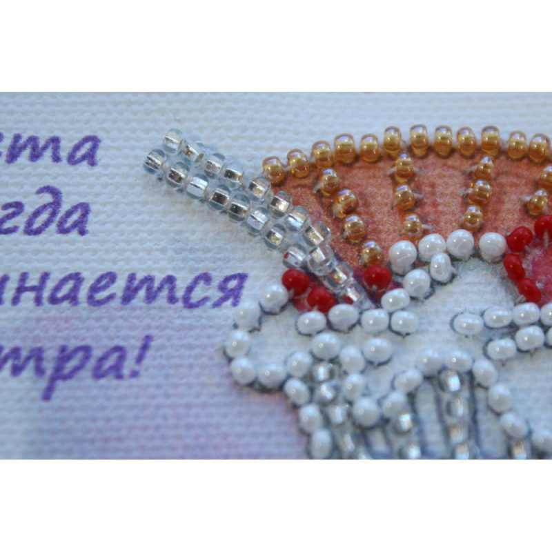 Bead Embroidery Magnet Kit "Diet – 1"